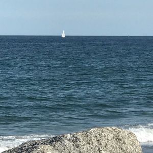 Meet your Posher, Lynn